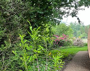 Unterkunft 323409 - Ferienhaus Veluwe - Vakantiehuisje in Rheden