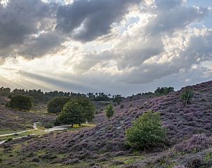 Unterkunft 323409 - Ferienhaus Veluwe - Vakantiehuisje in Rheden