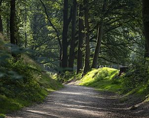 Unterkunft 323409 - Ferienhaus Veluwe - Vakantiehuisje in Rheden