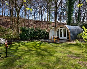 Unterkunft 323412 • Ferienhaus Veluwe • Vakantiehuis in Rheden 