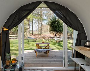 Unterkunft 323412 - Ferienhaus Veluwe - Vakantiehuis in Rheden