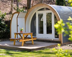 Unterkunft 323412 - Ferienhaus Veluwe - Vakantiehuis in Rheden