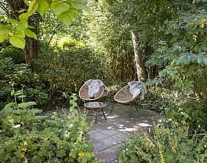 Unterkunft 323413 - Ferienhaus Veluwe - Huisje in Rheden