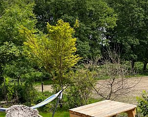 Unterkunft 323414 - Ferienhaus Veluwe - Huisje in Rheden