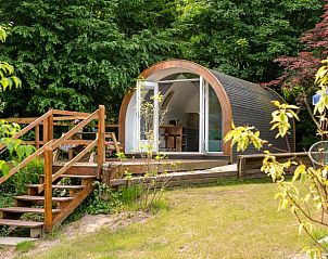 Unterkunft 323418 • Ferienhaus Veluwe • Vakantiehuisje in Rheden 