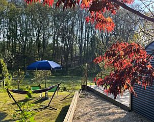 Unterkunft 323418 - Ferienhaus Veluwe - Vakantiehuisje in Rheden