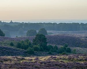Unterkunft 323418 - Ferienhaus Veluwe - Vakantiehuisje in Rheden