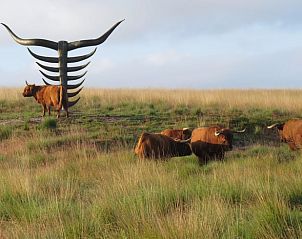Unterkunft 323418 - Ferienhaus Veluwe - Vakantiehuisje in Rheden