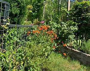 Verblijf 323423 - Vakantiewoning Veluwe - Huisje in Rheden