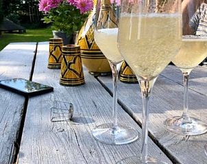 Genieten van champagne in de tuin van de Slaapfabriek, Teuge.