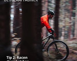 Fietsen door de bossen bij de Slaapfabriek in Teuge, Veluwe.