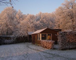 Unterkunft 323702 - Ferienhaus Veluwe - Vakantiehuisje in De Steeg