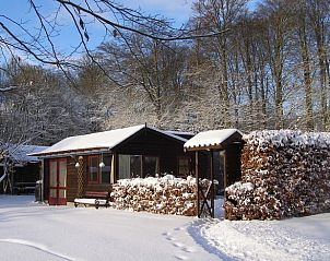 Unterkunft 323702 - Ferienhaus Veluwe - Vakantiehuisje in De Steeg