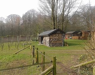 Unterkunft 323702 - Ferienhaus Veluwe - Vakantiehuisje in De Steeg