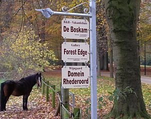 Unterkunft 323702 - Ferienhaus Veluwe - Vakantiehuisje in De Steeg