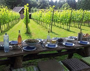 Unterkunft 323702 - Ferienhaus Veluwe - Vakantiehuisje in De Steeg