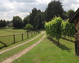 Unterkunft 323702 - Ferienhaus Veluwe - Vakantiehuisje in De Steeg