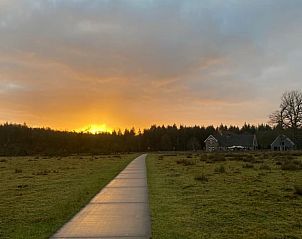 Unterkunft 323703 - Ferienhaus Veluwe - Huisje in De Steeg
