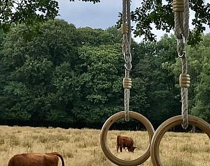 Unterkunft 323703 - Ferienhaus Veluwe - Huisje in De Steeg