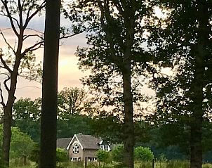 Unterkunft 323703 - Ferienhaus Veluwe - Huisje in De Steeg