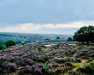 Unterkunft 323703 - Ferienhaus Veluwe - Huisje in De Steeg
