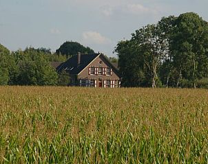 Unterkunft 323704 - Ferienhaus Veluwe - Vakantiehuis in De Steeg