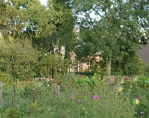 Unterkunft 323704 - Ferienhaus Veluwe - Vakantiehuis in De Steeg