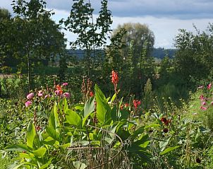 Unterkunft 323704 - Ferienhaus Veluwe - Vakantiehuis in De Steeg