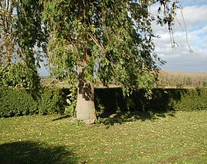 Unterkunft 323704 - Ferienhaus Veluwe - Vakantiehuis in De Steeg