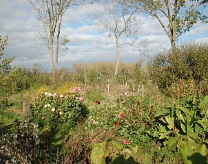 Unterkunft 323704 - Ferienhaus Veluwe - Vakantiehuis in De Steeg