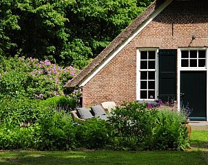Charmant terras bij Huisje in Heerde, Veluwe, omgeven door bloeiende struiken in Gelderland.