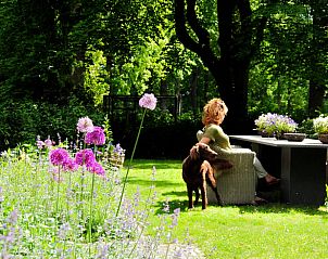 Vrouw geniet van de tuin in Huisje in Heerde, Veluwe, met hond en bloemen in Gelderland.