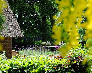 Prachtige tuin van Huisje in Heerde, Veluwe, met weelderige planten en bloemen in Gelderland.