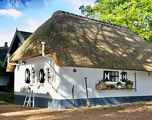 Guest house 323912 • Holiday property Veluwe • Huisje in Heerde 