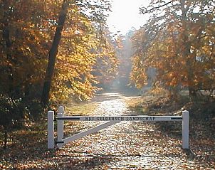 Unterkunft 324104 - Ferienhaus Veluwe - Huisje in Hattemerbroek
