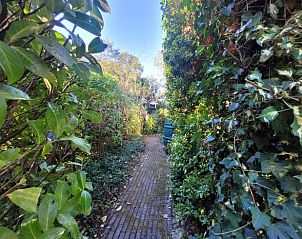 Unterkunft 324113 - Ferienhaus Veluwe - Vakantiehuisje in Hattemerbroek