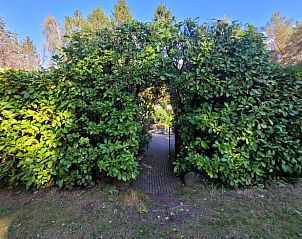 Unterkunft 324113 - Ferienhaus Veluwe - Vakantiehuisje in Hattemerbroek