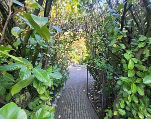 Unterkunft 324113 - Ferienhaus Veluwe - Vakantiehuisje in Hattemerbroek