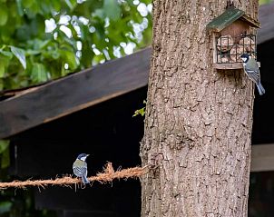 Unterkunft 324116 - Ferienhaus Veluwe - Vakantiehuisje in Hattemerbroek