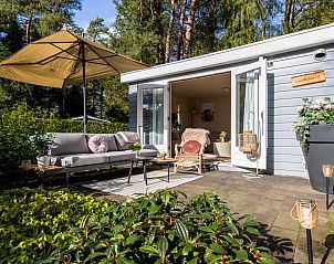 Verblijf 324117 - Chalet Veluwe - Boschalet Stijn