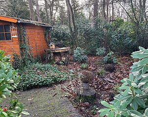 Unterkunft 324122 - Ferienhaus Veluwe - Huisje in Hattemerbroek