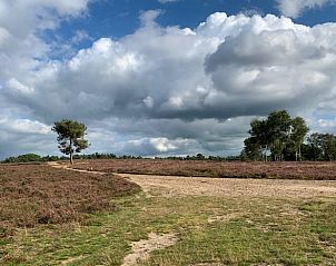Unterkunft 324122 - Ferienhaus Veluwe - Huisje in Hattemerbroek