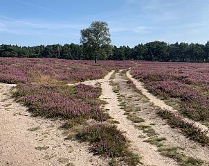 Unterkunft 324123 - Ferienhaus Veluwe - Vakantiehuis in Hattemerbroek