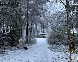 Unterkunft 324125 - Ferienhaus Veluwe - Vakantiehuis in Hattemerbroek