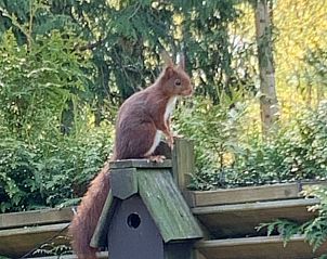 Unterkunft 324125 - Ferienhaus Veluwe - Vakantiehuis in Hattemerbroek