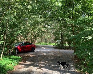 Unterkunft 324125 - Ferienhaus Veluwe - Vakantiehuis in Hattemerbroek