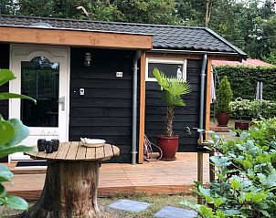 Unterkunft 324126 - Ferienhaus Veluwe - Vakantiehuis in Hattemerbroek