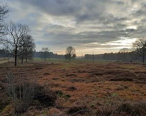 Unterkunft 324126 - Ferienhaus Veluwe - Vakantiehuis in Hattemerbroek