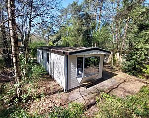 Unterkunft 324129 - Ferienhaus Veluwe - Huisje in Hattemerbroek