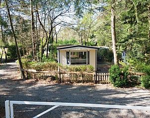 Unterkunft 324129 - Ferienhaus Veluwe - Huisje in Hattemerbroek